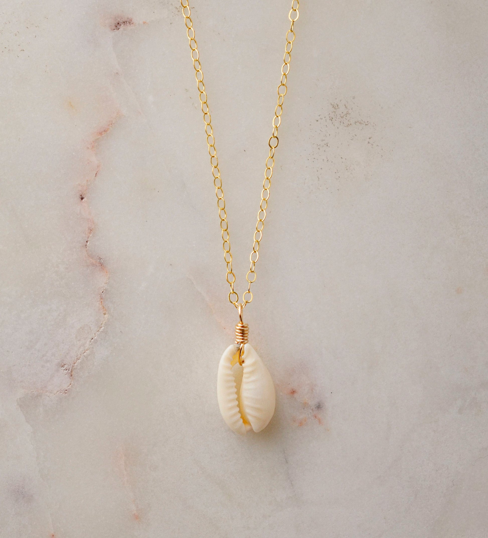 Single cowrie shell suspended from a 14k gold filled chain necklace.