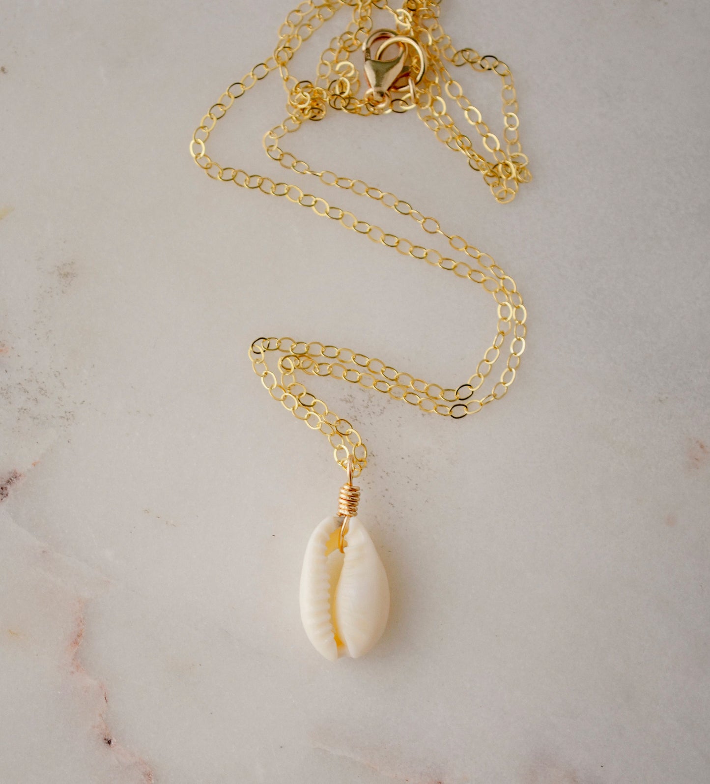 Single cowrie shell suspended from a 14k gold filled chain necklace.