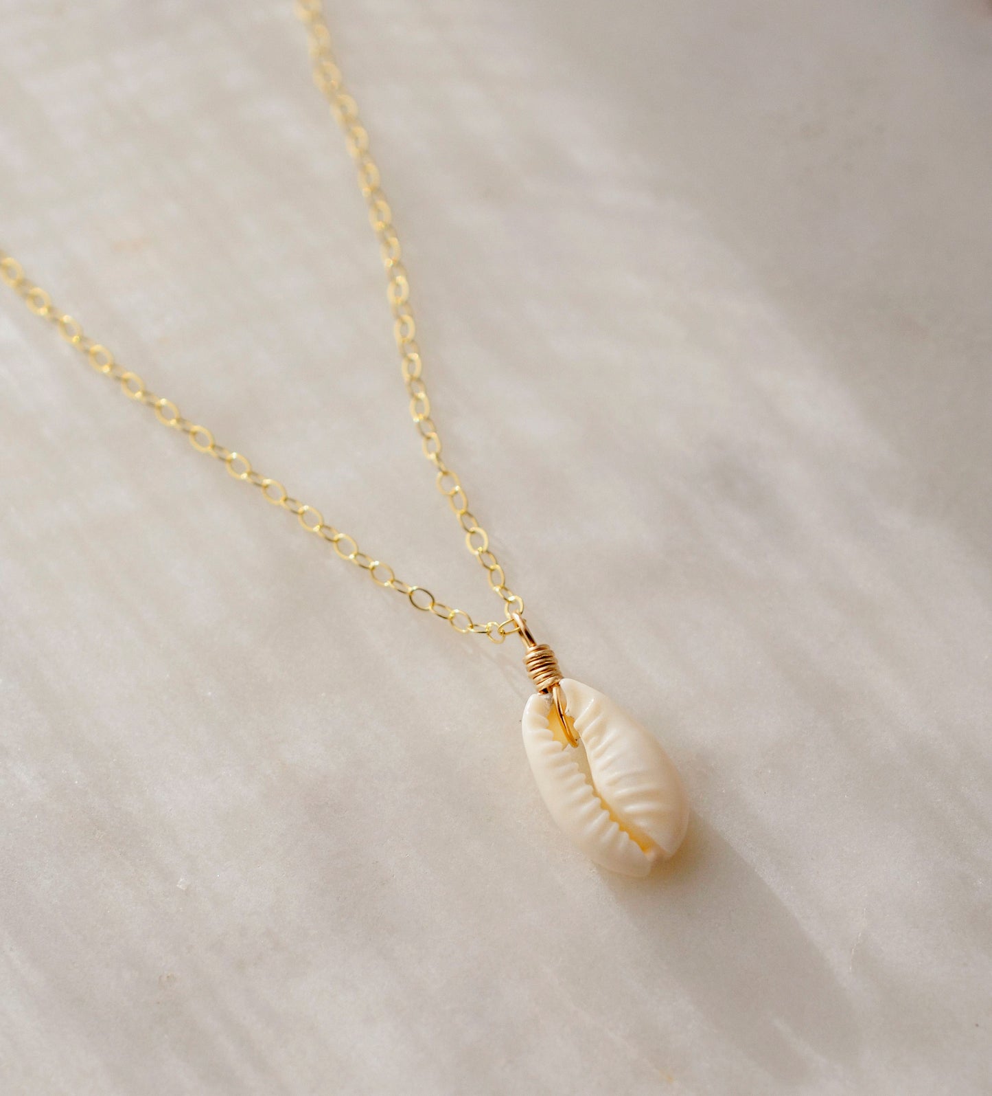 Single cowrie shell suspended from a 14k gold filled chain necklace.